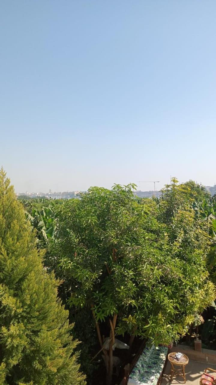 Tomorrow Land Villa Луксор Екстериор снимка